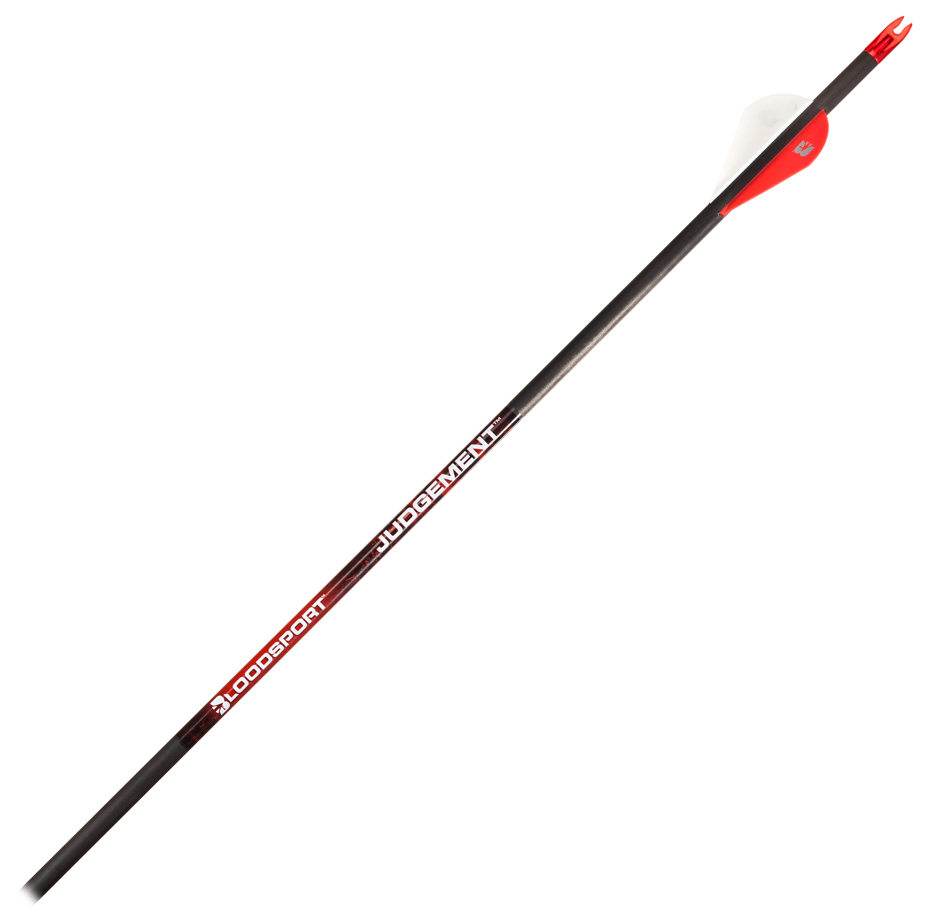 BloodSport Judgement Compound Arrows Bass Pro Shops